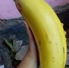 大香蕉国产情侣,甜蜜瞬间，浪漫时光